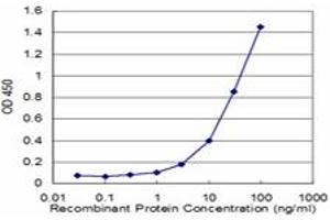 Detection limit for recombinant GST tagged APP is approximately 1ng/ml as a capture antibody. (APP Antikörper  (AA 19-305))