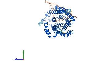 AlphaFold protein structure predicition of Mouse Recombinant Cers6 Protein, UniprotID Q8C172