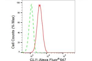 Flow cytometric analysis of GLI1 expression in C2C12 cells using GLI1 antibody (ABIN7800900), 1:2,000). (Rekombinanter GLI1 Antikörper)