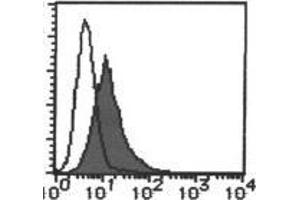 Flow cytometric analysis of CD267/TACI expression on transfectant.