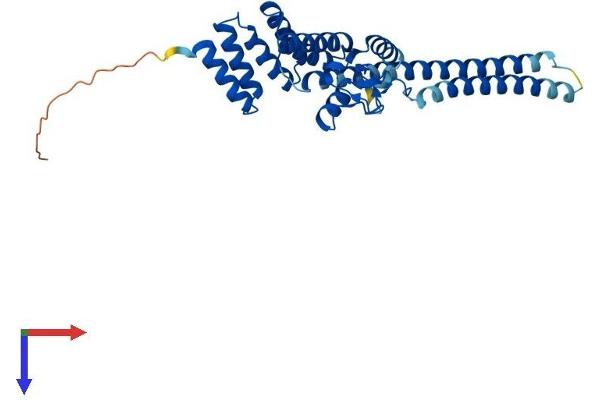 STUB1 Protein (AA 1-303) (His tag)