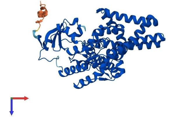 FADS3 Protein (AA 1-449) (His tag)
