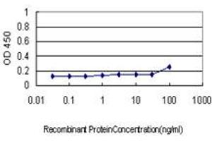 Detection limit for recombinant GST tagged COX6C is approximately 1ng/ml as a capture antibody. (COX6C Antikörper  (AA 1-75))