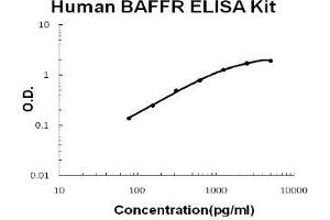 ELISA image for Tumor Necrosis Factor Receptor Superfamily, Member 13C (TNFRSF13C) ELISA Kit (ABIN1706072)