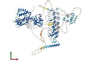 Protein Structure (PS) image for Nuclear Factor of kappa Light Polypeptide Gene Enhancer in B-Cells 1 (NFKB1) (AA 1-971) protein (His tag) (ABIN7563009)