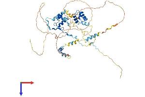 MIER1 Protein (AA 1-511) (His tag)