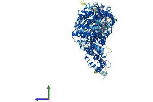 Protein Structure (PS) image for Phosphorylase Kinase, beta (PHKB) (AA 1-1085) protein (His tag) (ABIN7564213)