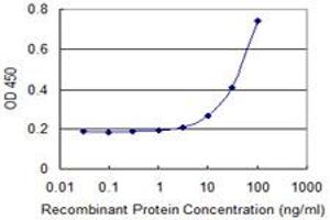 Detection limit for recombinant GST tagged KLK4 is 3 ng/ml as a capture antibody. (Kallikrein 4 Antikörper  (AA 159-254))