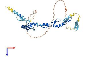 XAF1 Protein (AA 1-301) (His tag)
