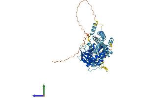 Protein Structure (PS) image for GTP Binding Protein 6 (Putative) (GTPBP6) (AA 1-514) protein (His tag) (ABIN7557152)