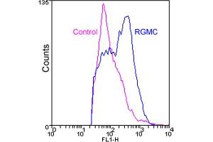 Flow cytometry analysis of HEK293 cells stably overexpressing RGMC stained with RGMC (human), mAb (1D7) at 1:100 dilution (blue line) or normal mouse IgG (control, purple line). (HFE2 Antikörper  (AA 36-398))