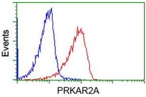 Image no. 1 for anti-Protein Kinase, CAMP-Dependent, Regulatory, Type II, alpha (PRKAR2A) antibody (ABIN1500254) (PRKAR2A Antikörper)