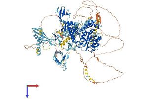 Vcpip1 Protein (AA 1-1222) (His tag)