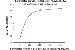 ELISA image for Interleukin 12 Receptor beta 1 (IL12RB1) (AA 24-540) (Active) protein (Fc Tag,AVI tag,Biotin) (ABIN6731329)