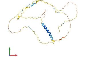 Protein Structure (PS) image for Linker For Activation of T Cells (LAT) (AA 1-262) protein (His tag) (ABIN7554406)