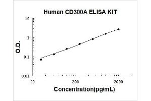 CD300a (CD300A) ELISA Kit