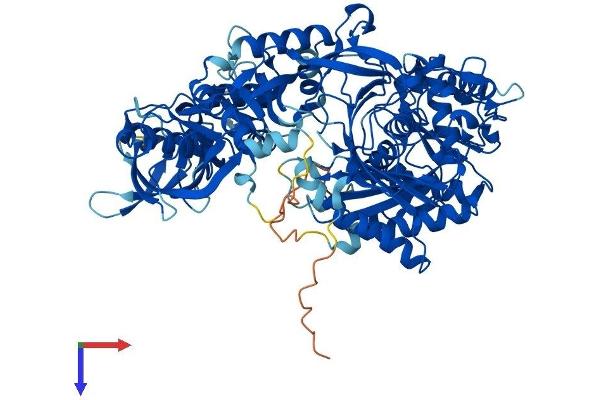 EIF2C3 Protein (AA 1-860) (His tag)