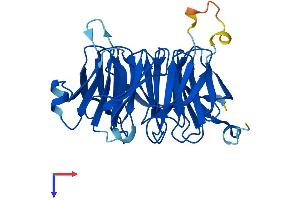 EIF3I Protein (AA 1-325) (His tag)