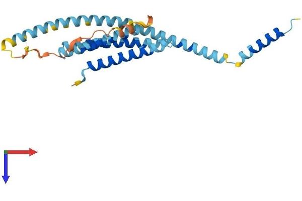 STX8 Protein (AA 1-236) (His tag)