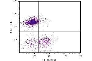 BALB/c mouse splenocytes were stained with Hamster Anti-Mouse CD3ε-BIOT. (CD3 epsilon Antikörper  (Biotin))