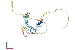 AlphaFold protein structure predicition of Human Recombinant ZNF524 Protein, UniprotID Q96C55
