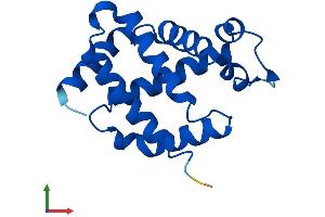Protein Structure (PS) image for Neuroglobin (NGB) (AA 1-151) protein (His tag) (ABIN7561426)