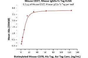 ELISA image for CD27 Molecule (CD27) (AA 21-182) (Active) protein (Fc Tag) (ABIN5955007)