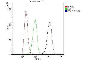 Flow Cytometry analysis of A431 cells using anti-PPCS antibody (ABIN6719631).
