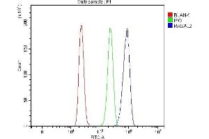 Flow Cytometry analysis of HL-60 cells using anti-RASAL2 antibody (ABIN7602198). (RASAL2 Antikörper  (AA 624-958))