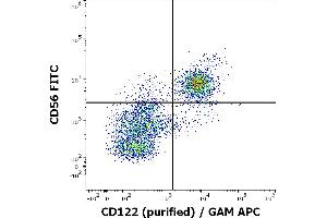 Flow cytometry multicolor surface staining of human CD3 negative lymphocytes stained using anti-human CD122 (TU27) purified antibody (concentration in sample 4 μg/mL, GAM APC) and anti-human CD56 (LT56) PE antibody (10 μL reagent / 100 μL of peripheral whole blood). (IL2 Receptor beta Antikörper)