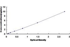 Typical standard curve (FDPS ELISA Kit)