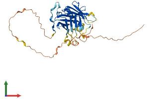 AlphaFold protein structure predicition of Human Recombinant PLSCR1 Protein, UniprotID O15162
