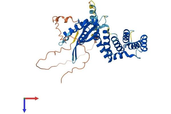 SNX21 Protein (AA 1-363) (His tag)