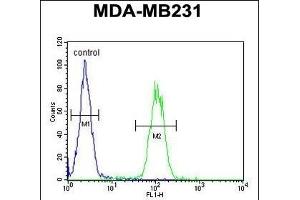 S1 Antibody (N-Term) (ABIN651199 and ABIN2840127) flow cytometric analysis of MDA-M cells (right histogram) compared to a negative control cell (left histogram). (AP1S1 Antikörper  (N-Term))