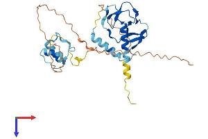 DPPA2 Protein (AA 1-301) (His tag)