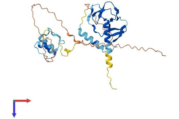DPPA2 Protein (AA 1-301) (His tag)
