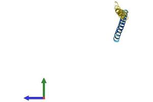 Protein Structure (PS) image for Glycophorin C (GYPC) (AA 1-95) protein (His tag) (ABIN7558170)