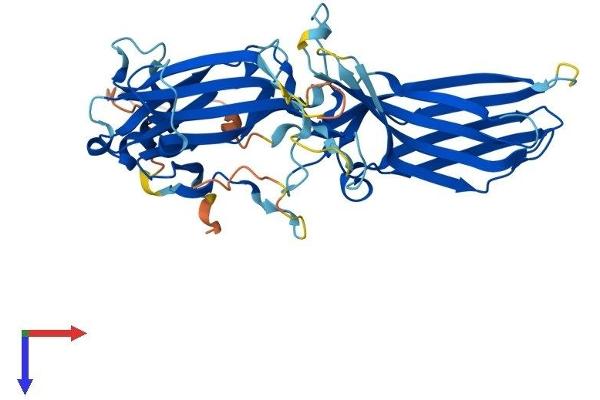 Arrestin 3 Protein (AA 1-410) (His tag)