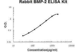 Rabbit BMP-2 PicoKine ELISA Kit standard curve