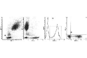 Image no. 1 for anti-Protein tyrosine Phosphatase, Receptor Type, C (PTPRC) antibody (PE) (ABIN1106406) (CD45 Antikörper  (PE))