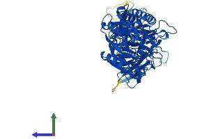 Protein Structure (PS) image for Peptidyl Arginine Deiminase, Type IV (PADI4) (AA 1-663) protein (His tag) (ABIN7554850)