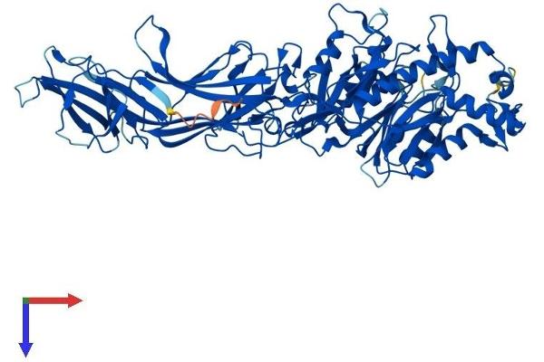 PADI2 Protein (AA 1-673) (His tag)
