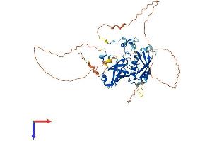 C9orf156 Protein (AA 1-441) (His tag)