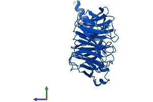 Protein Structure (PS) image for Guanine Nucleotide Binding Protein (G Protein), beta Polypeptide 3 (GNB3) (AA 1-340) protein (His tag) (ABIN7557647)