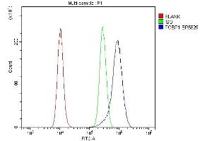 Flow Cytometry analysis of RAW264.