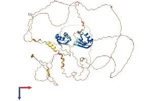 RBM14 Protein (AA 1-669) (His tag)