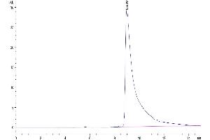 Size-exclusion chromatography-High Pressure Liquid Chromatography (SEC-HPLC) image for Apolipoprotein A-II (APOA2) (AA 19-102) protein (Fc Tag) (ABIN7273850)