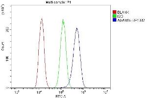 Flow Cytometry analysis of A431 cells using anti-ADAM15 antibody (ABIN7601669). (ADAM15 Antikörper  (AA 41-456))