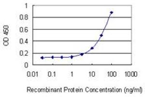 Detection limit for recombinant GST tagged GDA is 1 ng/ml as a capture antibody. (GDA Antikörper  (AA 1-454))