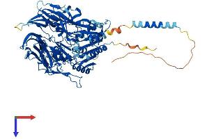 DPP10 Protein (AA 1-796) (His tag)